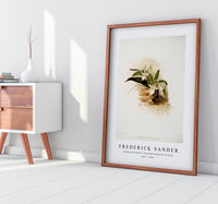 Frederick Sander - Angræcum humblotii from Reichenbachia Orchids-1847-1920