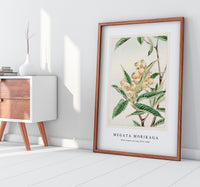 Megata Morikaga - Biwa loquat during 1870–1880