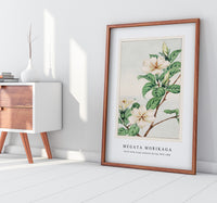 Megata Morikaga - Kuchi nashi (cape jasmine) during 1870–1880