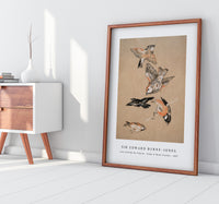 Sir Edward Burne Jones - Love leading the Pilgrim - Study of Birds Finches (1897)