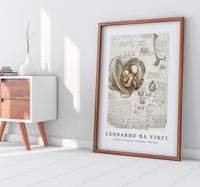 Leonardo Da Vinci - Studies of the Foetus in the Womb 1510-1513