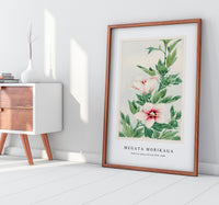 Megata Morikaga - Hibiscus plant during 1870–1880