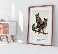 John James Audubon - Great Horned Owl from Birds of America (1827)