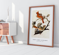 John James Audubon - Cardinal Grosbeak (1811)