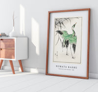 Numata Kashu - Demoiselle crane and Reed illustration from Pictorial Monograph of Birds (1885)