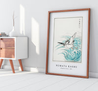 Numata Kashu - Mongolian Plover illustration from Pictorial Monograph of Birds (1885)