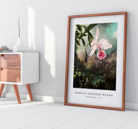 Martin Johnson Heade - Orchid Blossoms (1873)