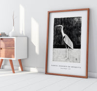 Samuel Jessurun De Mesquita - Heron (Reiger) (1911)