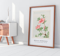 Megata Morikaga - Tsutsuji rhododendron Judicum (azalea) during 1870–1880