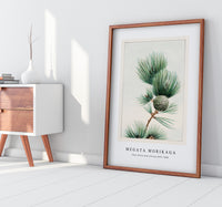 Megata Morikaga - Gayo matsu pine during 1870–1880