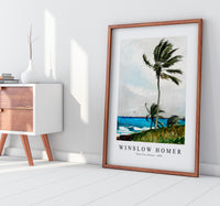 winslow homer - Palm Tree, Nassau-1898