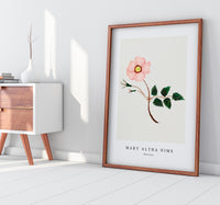 Mary Altha Nims - Wild Rose