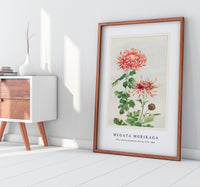 Megata Morikaga - Kiku (chrysanthemum) during 1870–1880