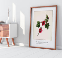 M. de Gijselaar - Chinese rose by M. de Gijselaar (1820)