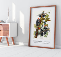 John James Audubon - Pileated Woodpecker from Birds of America (1827)