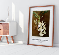 Frederick Sander - Catasetum bungerothii from Reichenbachia Orchids-1847-1920