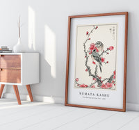 Numata Kashu - Pine Bunting and Plum Tree illustration from Pictorial Monograph of Birds