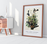 John James Audubon - Mocking Bird from Birds of America (1827)