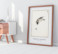 Numata Kashu - Sparrow illustration from Pictorial Monograph of Birds (1885)