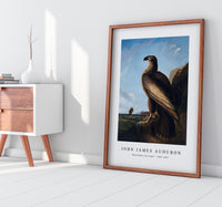 John Jadmes Audubon - Washington Sea Eagle (ca. 1836–1839)