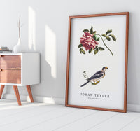 Johan Teyler - Rose and a Parakeet