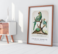 Charles demuth - Two Parrots on a Barren Tree-1916