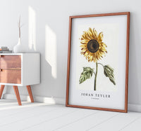 Johan Teyler - A sunflower