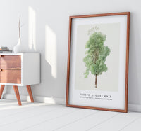 Joseph August Knip - Tall tree from Bomen in de omgeving van Subiaco (trees in the Subiaco area)