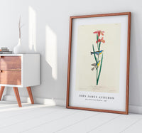 John James Audubon - Blue Yellow back Warbler from Birds of America (1827)