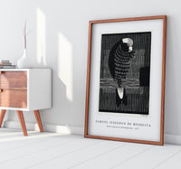 Samuel Jessurun De Mesquita - Galah Cockatoos (Rosékaketoe) (1917)