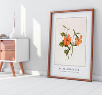 M. de Gijselaar - Orange flower by M. de Gijselaar (1820)