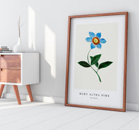 Mary Altha Nims - Star Flower