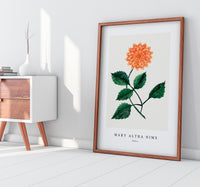 Mary Altha Nims - Dahlia