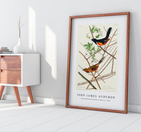 John James Audubon - Towee Bunting from Birds of America (1827)