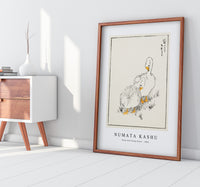 Numata Kashu - Duck and Young Grass illustration from Pictorial Monograph of Birds (1885)