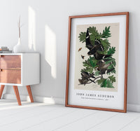 John James Audubon - Night Hawk from Birds of America (1827)