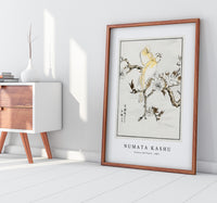 Numata Kashu - Canary and Peach illustration from Pictorial Monograph of Birds (1885)