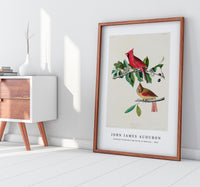 John James Audubon - Cardinal Grosbeak from Birds of America (1827)