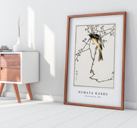 Numata Kashu - Siberian Blue-tail illustration from Pictorial Monograph of Birds (1885)