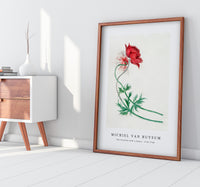 Michiel Van Huysum - Two branches with a flower (1714–1760)