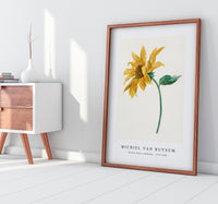 Michiel Van Huysum - Branch with a sunflower (1714–1760)