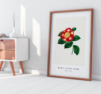 Mary Altha Nims - Chinese Flower