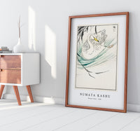 Numata Kashu - Wooper Swan illustration from Pictorial Monograph of Birds (1885)