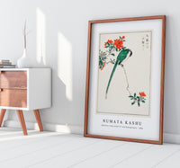 Numata Kashu - Japanese Long-tailed Tit and Pomegranate illustration from Pictorial Monograph of Birds (1885)