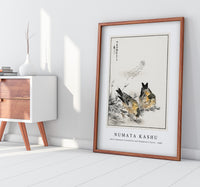 Numata Kashu - Small Japanese Greenfinch and Shepherd's Purse illustration from Pictorial Monograph of Birds (1885)