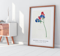 Michiel Van Huysum - Branch with two flowers1714-1760