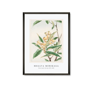 Megata Morikaga
