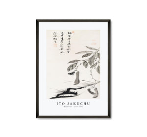 Ito Jakuchu