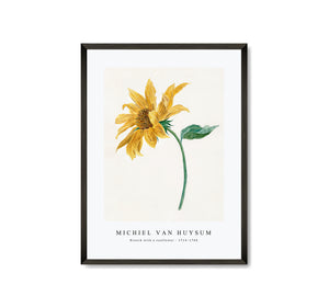 Michiel Van Huysum