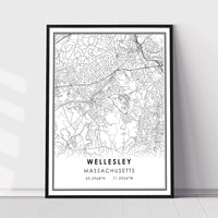 
              Wellesley, Massachusetts Modern Map Print 
            